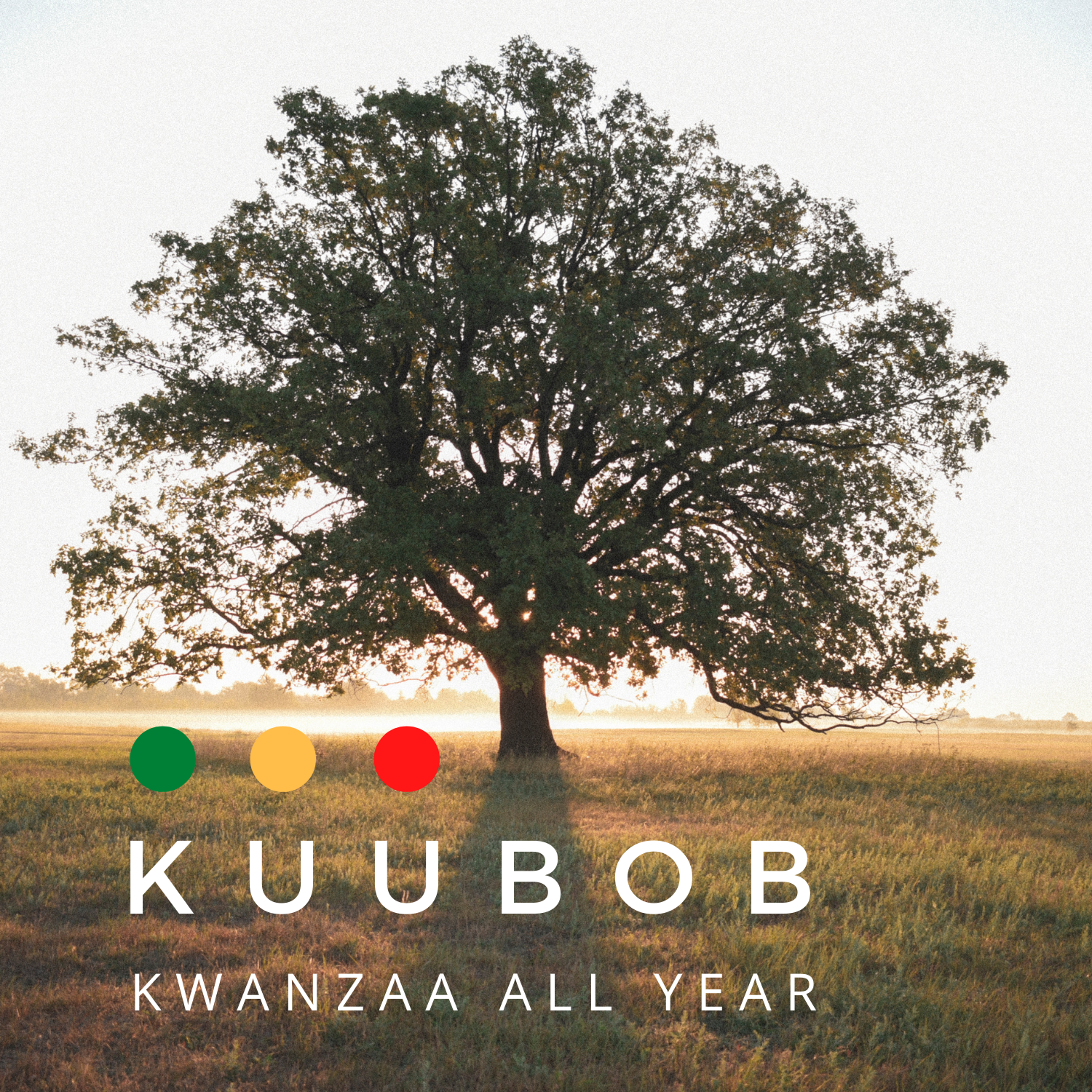 Kuubob logo